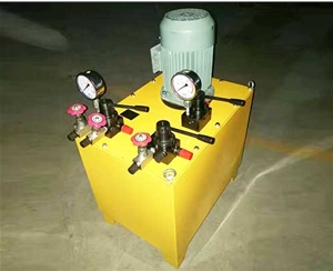 陕西非标电动泵生产