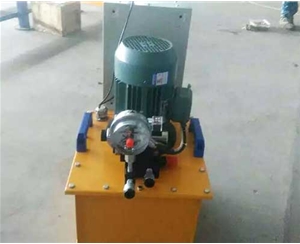 陕西标准电动泵供应生产